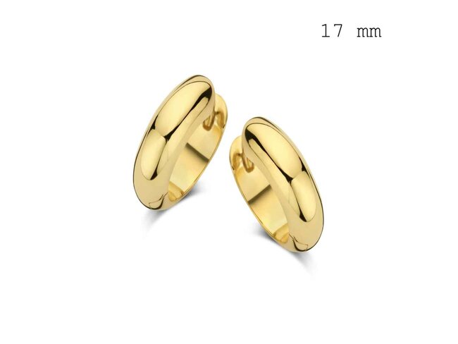 oorring - zilver | Naiomy