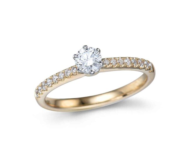 Ring - goud | BDB Collection
