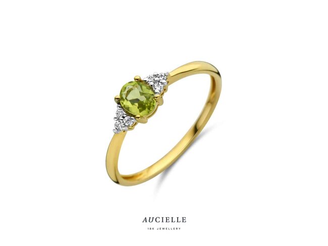 Ring Zirkonium - goud | Aucielle