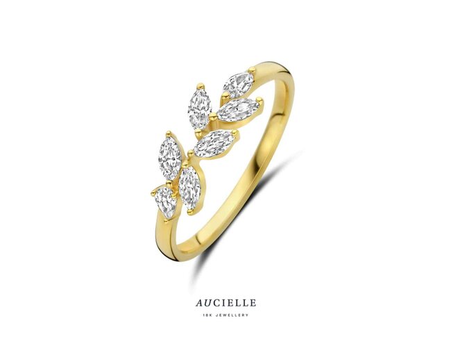 Ring Zirkonium - goud | Aucielle