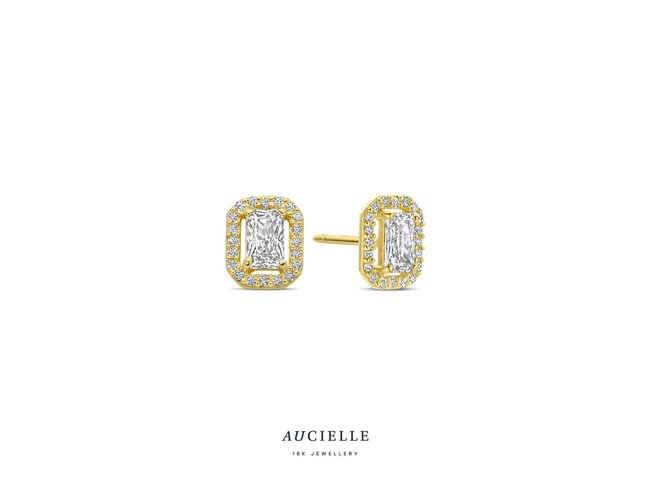 oorring zirkonium - goud | Aucielle