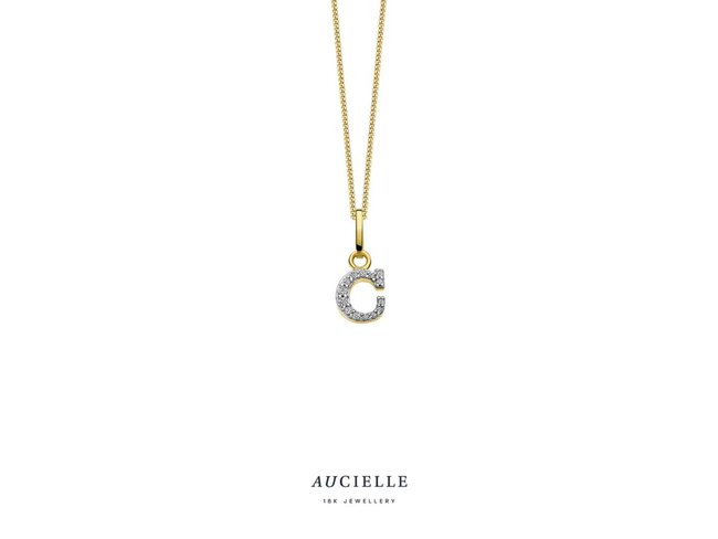 hanger zirkonium - goud | Aucielle