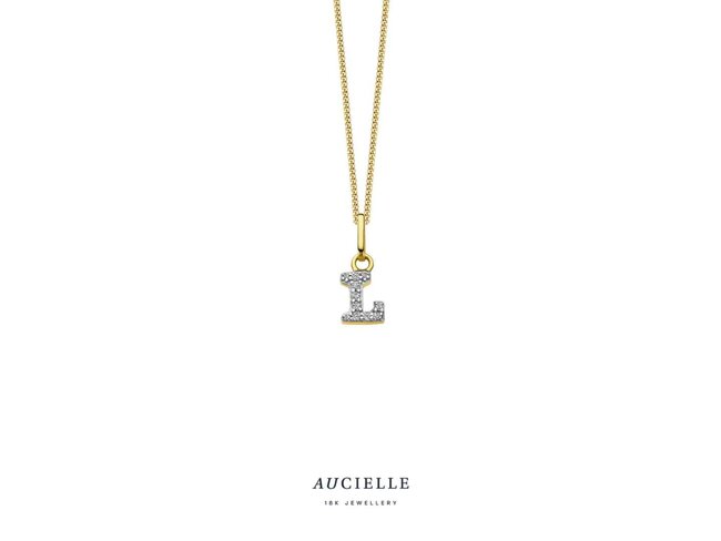 hanger zirkonium - goud | Aucielle