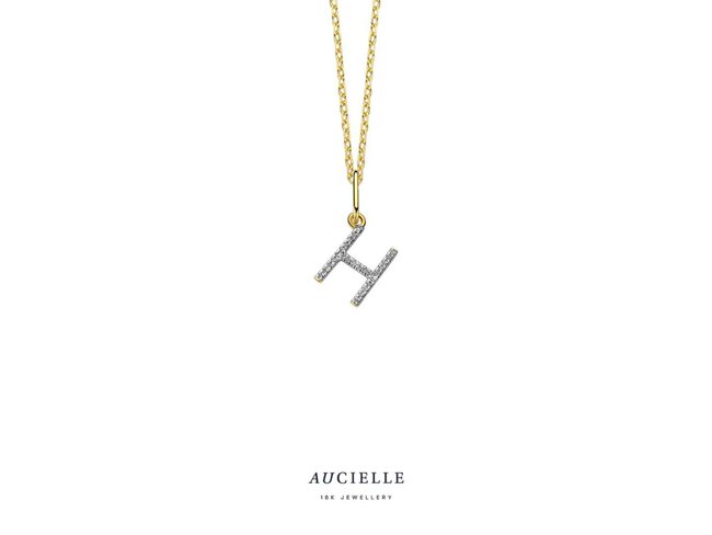 hanger briljant - goud | Aucielle