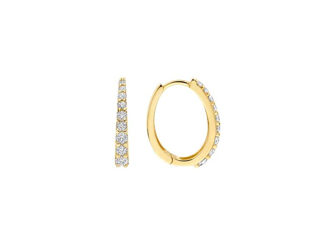 oorring - goud 14 kt | Blush
