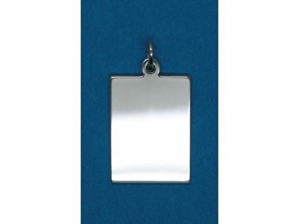 hanger - zilver | Orage