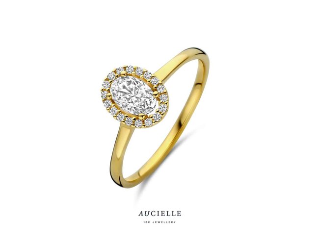 Ring Zirkonium - goud | Aucielle
