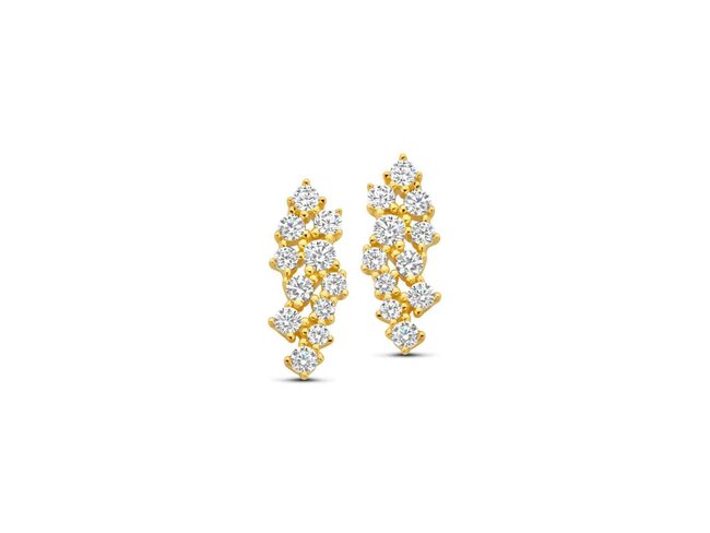 oorring - zilver | Naiomy
