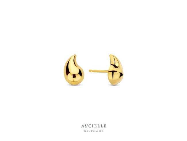 oorring - goud | Aucielle