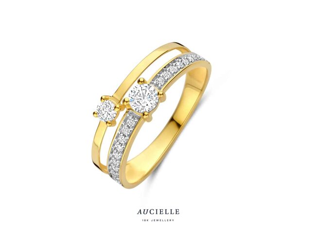 Ring Zirkonium - goud | Aucielle