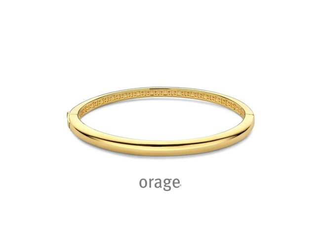 armband - plaque | Orage