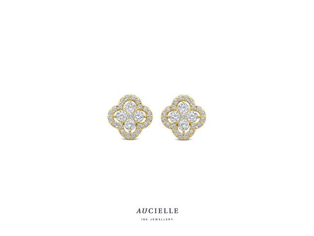 oorring zirkonium - goud | Aucielle