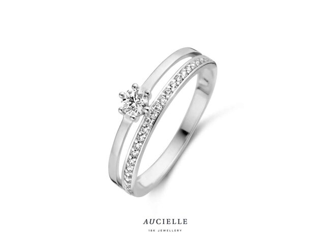 Ring Zirkonium - goud | Aucielle