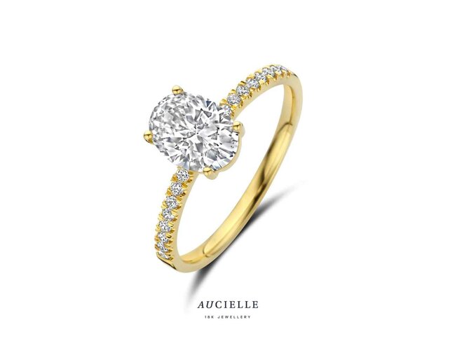Ring Zirkonium - goud | Aucielle