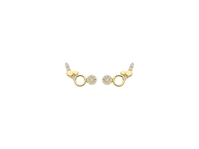 oorring - goud 14 kt | Blush