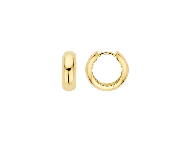 oorring - goud 14 kt | Blush