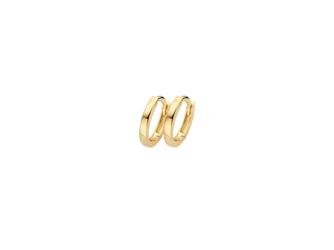 oorring - goud 14 kt | Blush