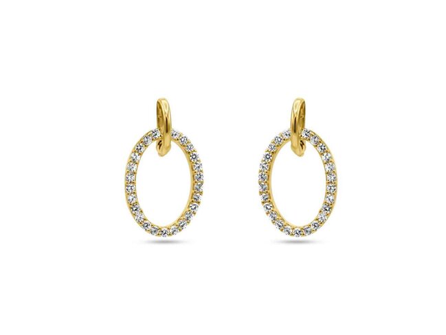 oorring zirkonium - goud | Buffilor
