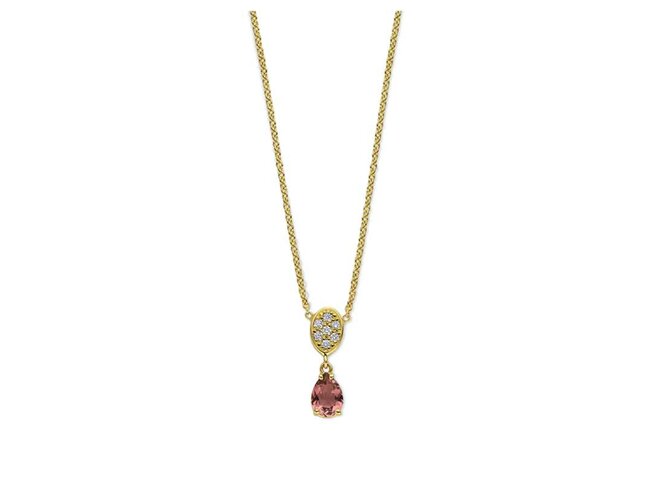 transformatie collier - goud | emotions