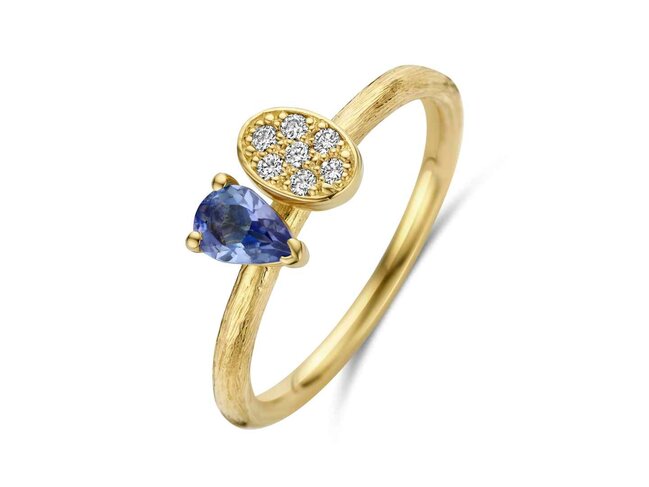 transformatie ring - goud | emotions