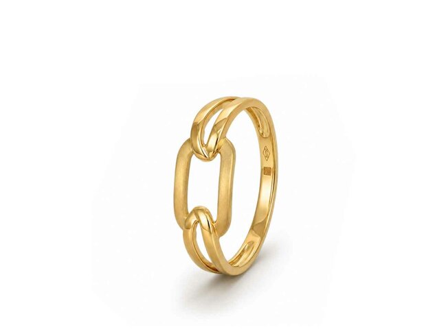 ring - goud | Taste of Luxury