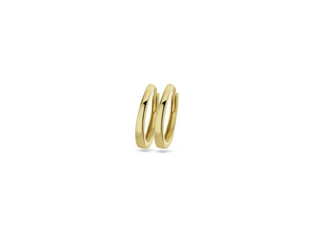 oorring - goud 14 kt | Blush