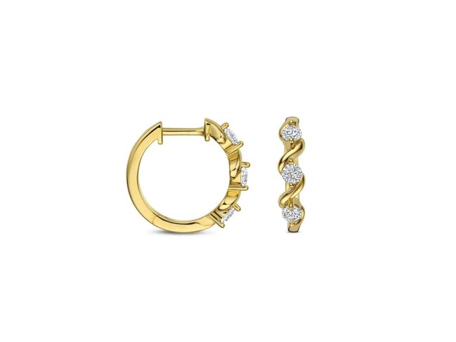 oorring - zilver | Naiomy